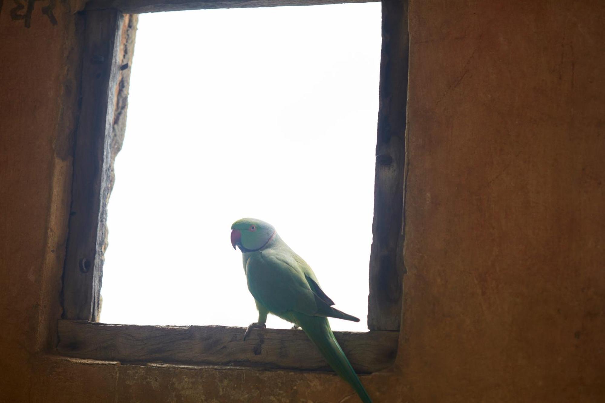 Hotel Raas Devigarh Delwāra Exteriér fotografie