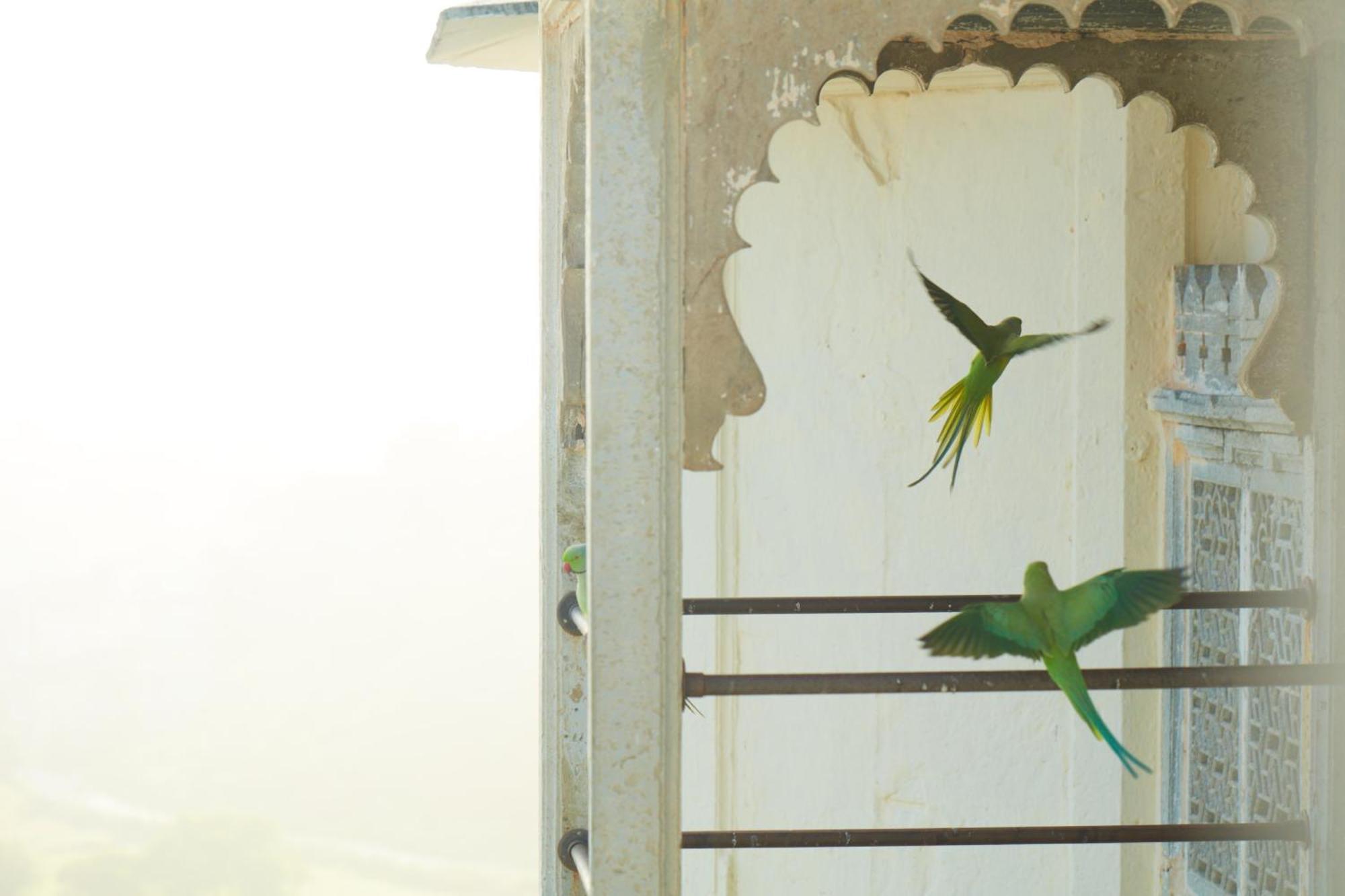 Hotel Raas Devigarh Delwāra Exteriér fotografie
